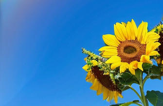 上海期货从业资格证考试一般在哪里考-(上海期货证考考)